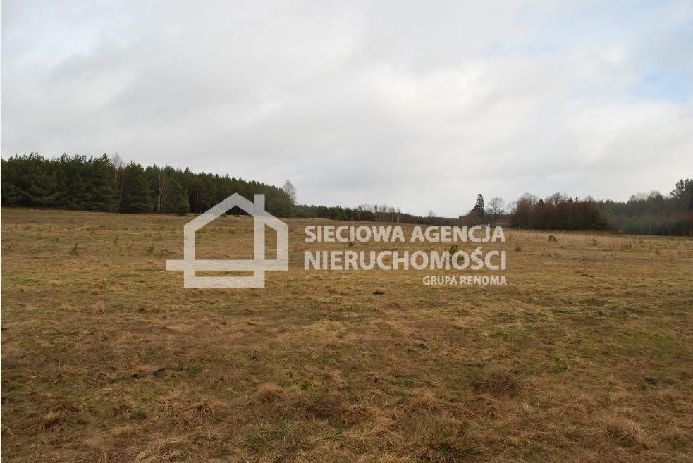 Działki budowlane w Szczenurze, 1000 m², blisko morza Szczenurze  1 000m2 Foto 1