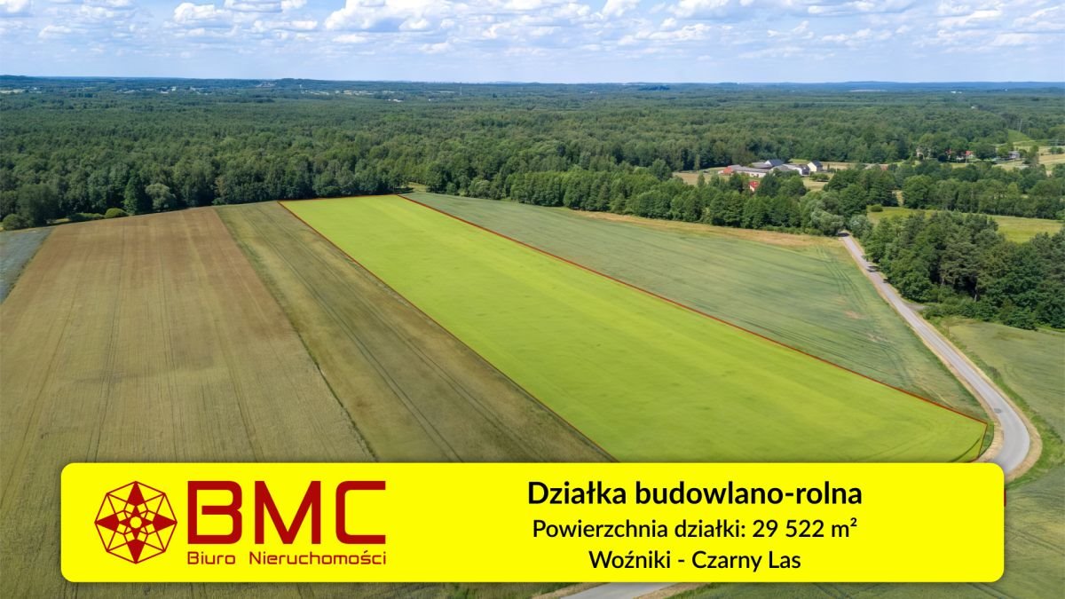 Zapraszam do obejrzenia działki 29 522 m² w Czarnym Lesie Woźniki, Czarny Las, Czarny Las  29 522m2 Foto 1