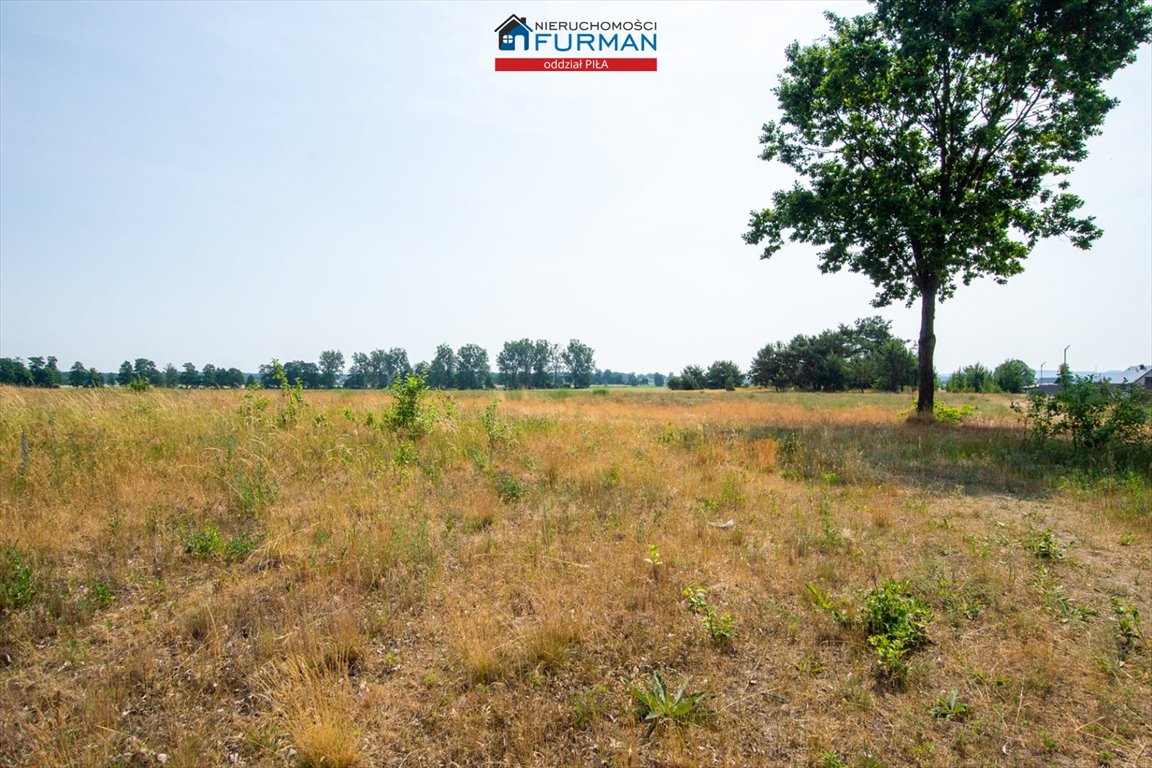 Działka inwestycyjna na sprzedaż Stobno  3 000m2 Foto 6