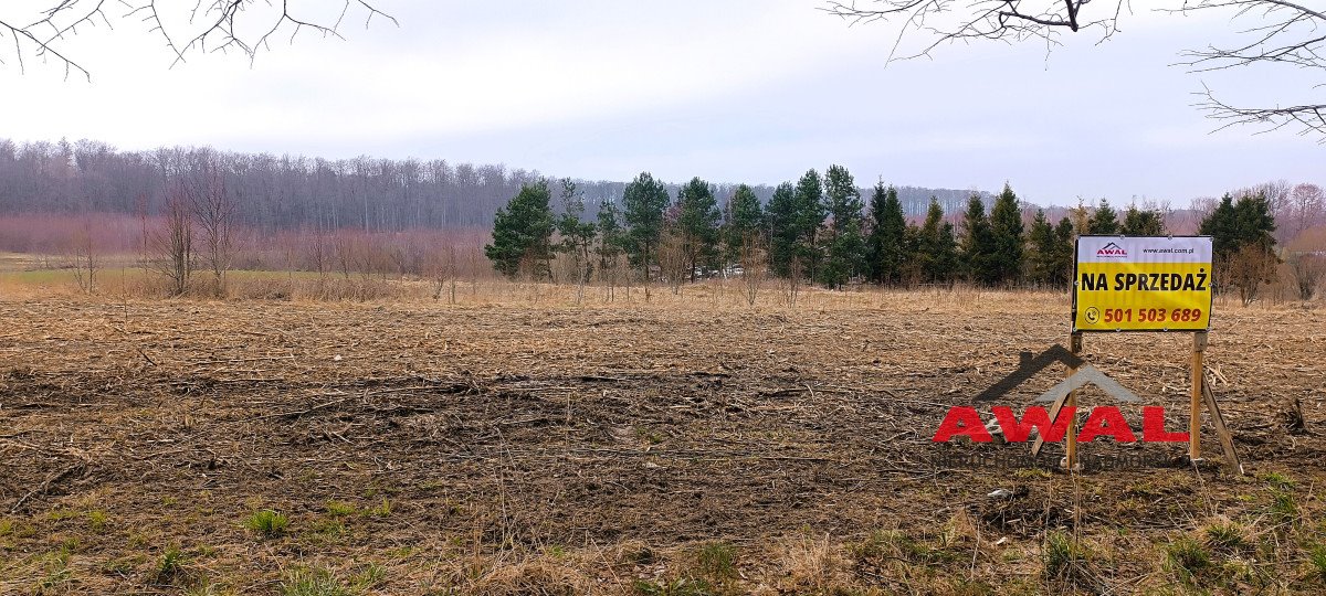 Działka budowlana na sprzedaż Darzlubie, Pucka  2 800m2 Foto 23