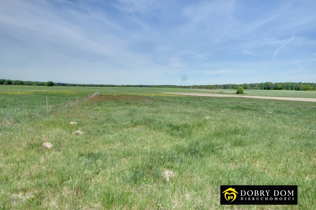 Do sprzedania działki rolne 27 000 m² w Sypnie Nowej Sypnie Nowe  27 000m2 Foto 1