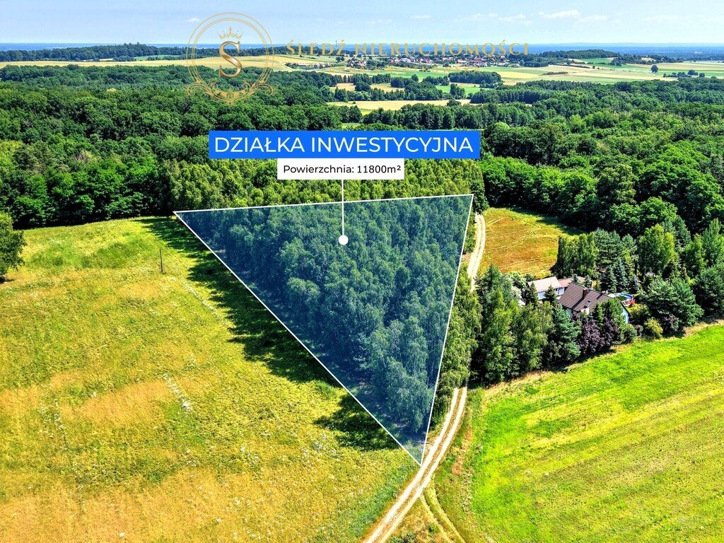Działka inna na sprzedaż Proszkowa  11 800m2 Foto 1