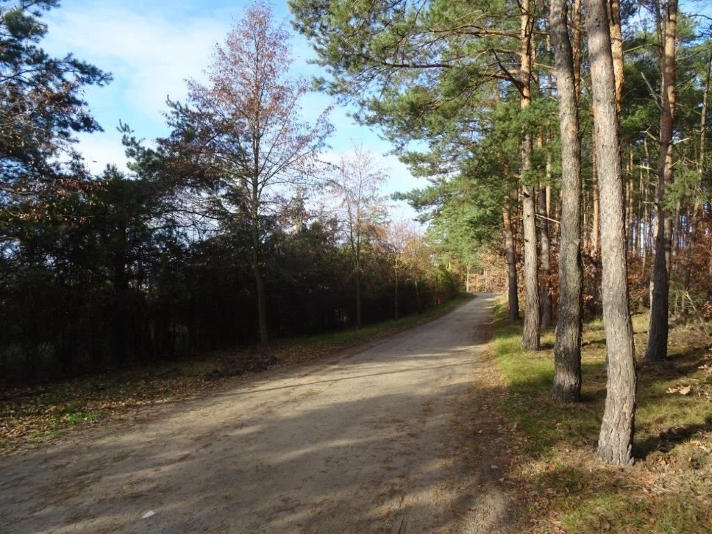 Działka budowlana na sprzedaż Borówiec, Poznańska  1 990m2 Foto 2