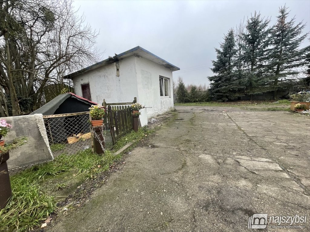 Gospodarstwo rolne z mieszkaniami 1,3 ha - polecam: Dolice