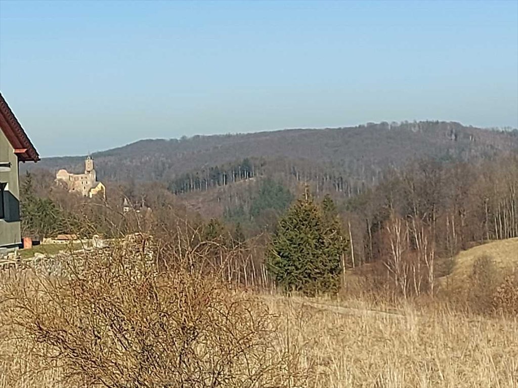 Działka gospodarstwo rolne na sprzedaż Walim, Niedźwiedzica  4 335m2 Foto 3