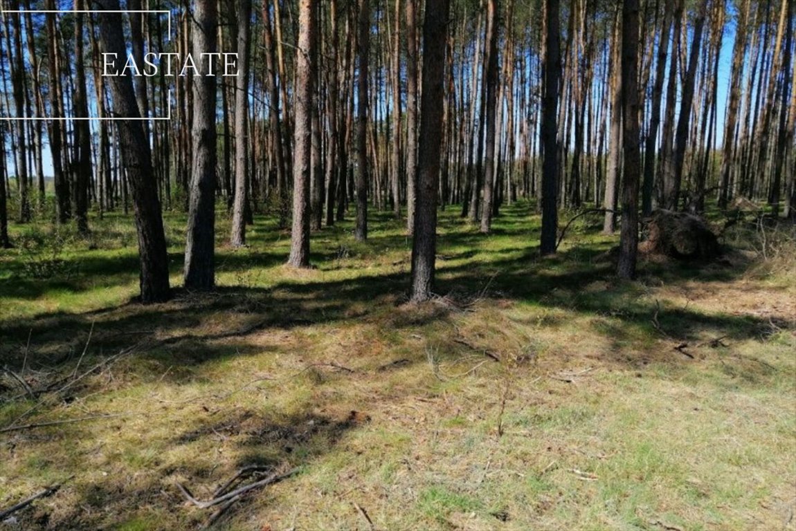 Działka budowlana na sprzedaż Józefów  1 699m2 Foto 6