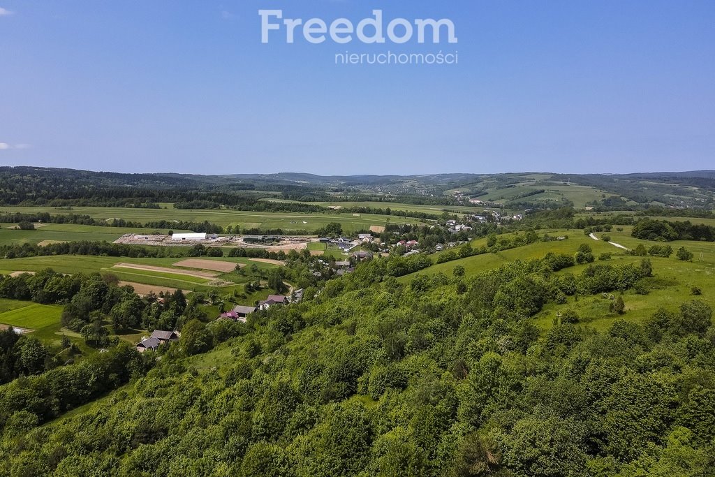Działka budowlana na sprzedaż Krzywe  18 004m2 Foto 1