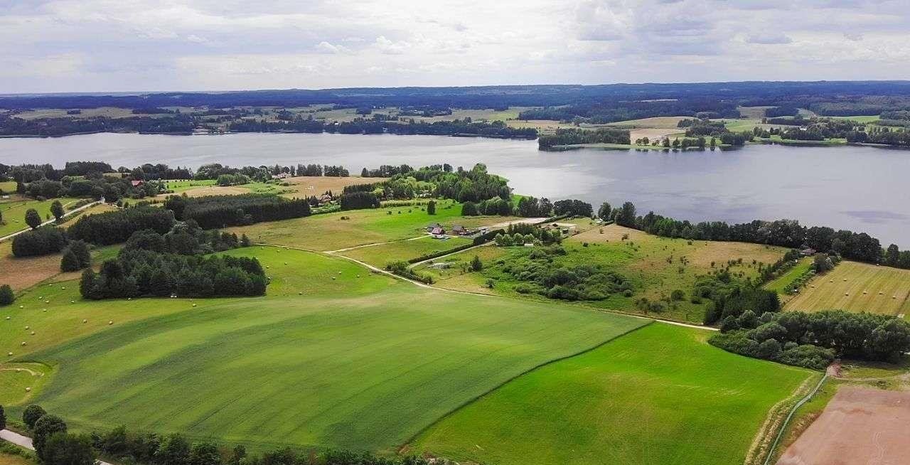 Działka rolna na sprzedaż Szczecinowo  5 002m2 Foto 17