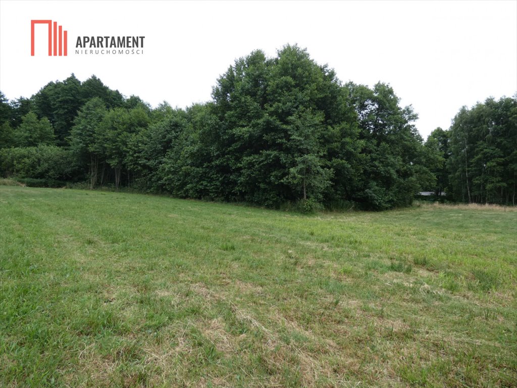 Działka rekreacyjna na sprzedaż Laski Małe  4 100m2 Foto 6