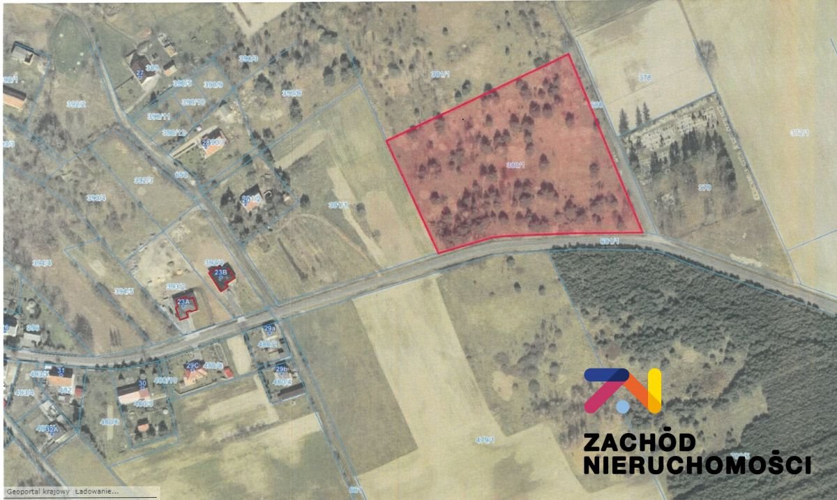 Działka budowlana 2,25 ha z warunkami zabudowy i dojazdem Mirocin Górny  22 500m2 Foto 1