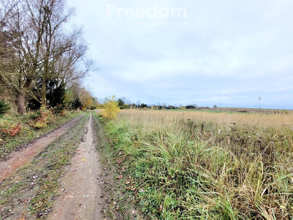 Działka budowlana na sprzedaż Zagórze  1 500m2 Foto 20