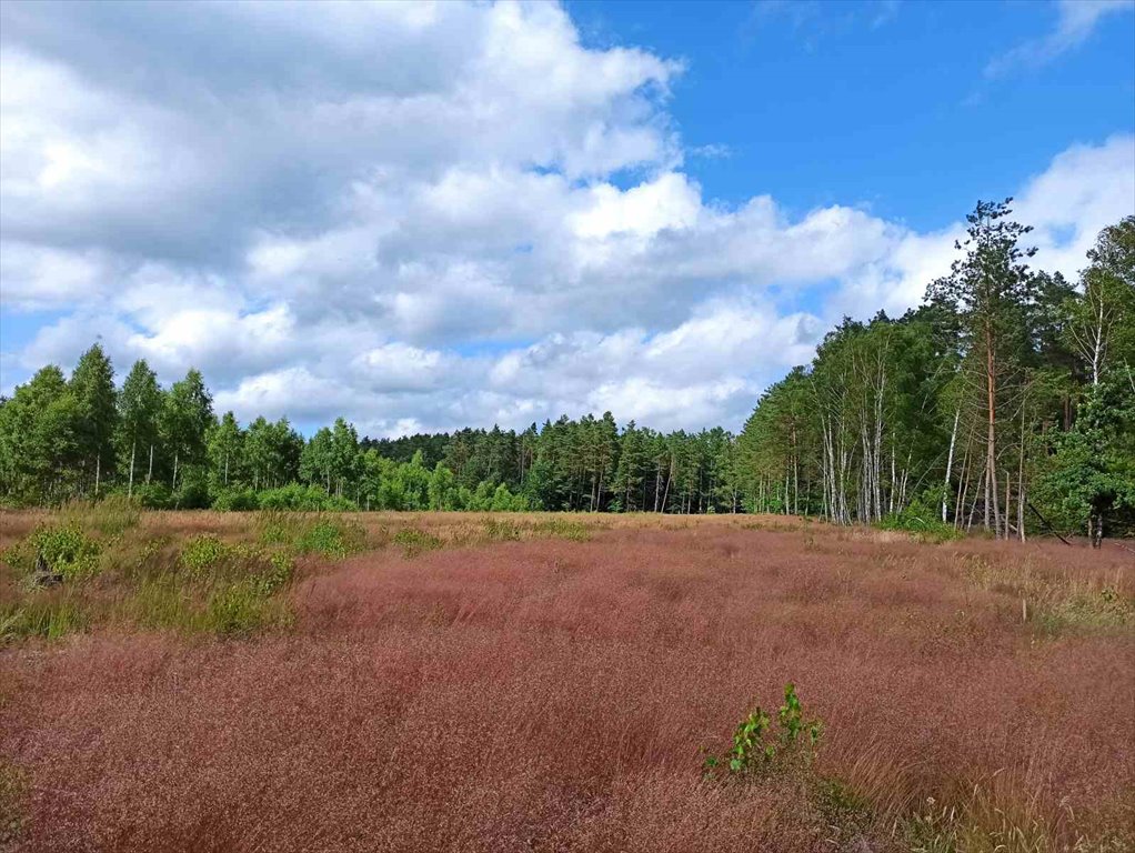 Sprzedam działkę 1400 m² przy lesie z mediami i szybkim dojazdem Wiewiórowo  1 400m2 Foto 1