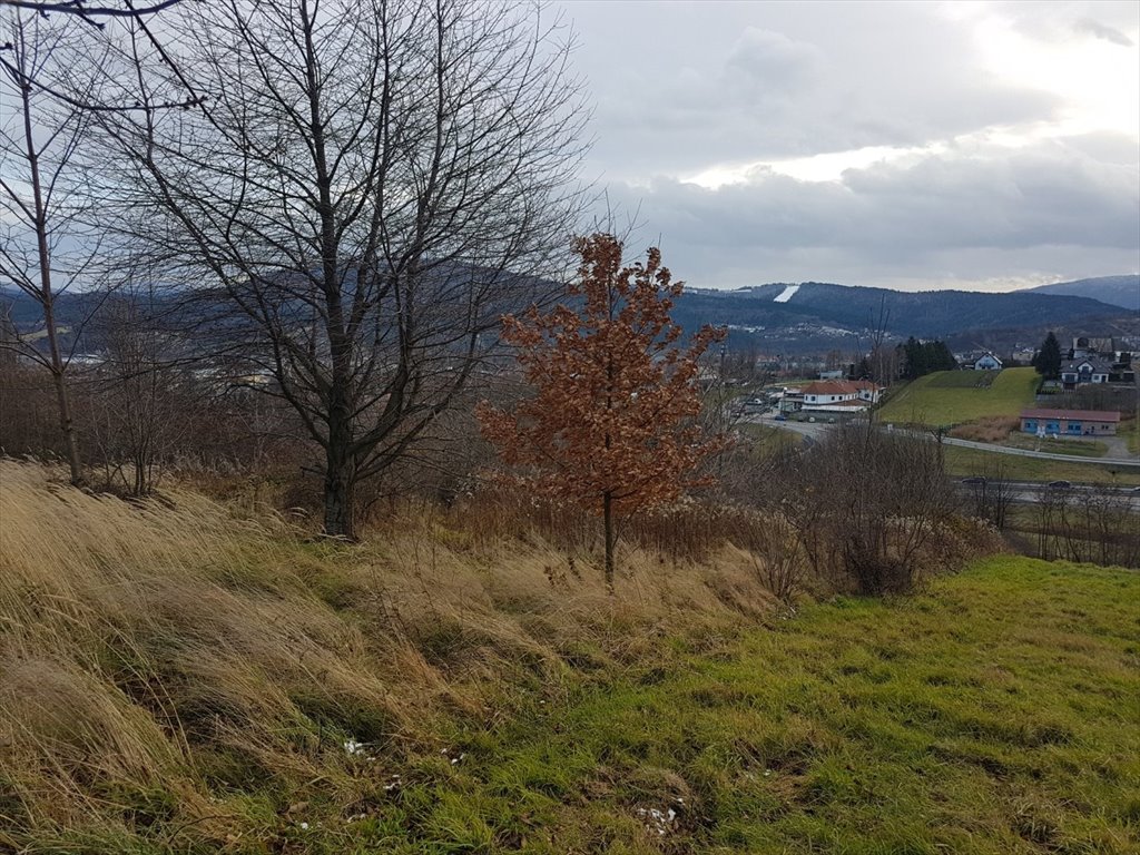 Działka budowlana na sprzedaż Myślenice, Sienkiewicza  1 600m2 Foto 2