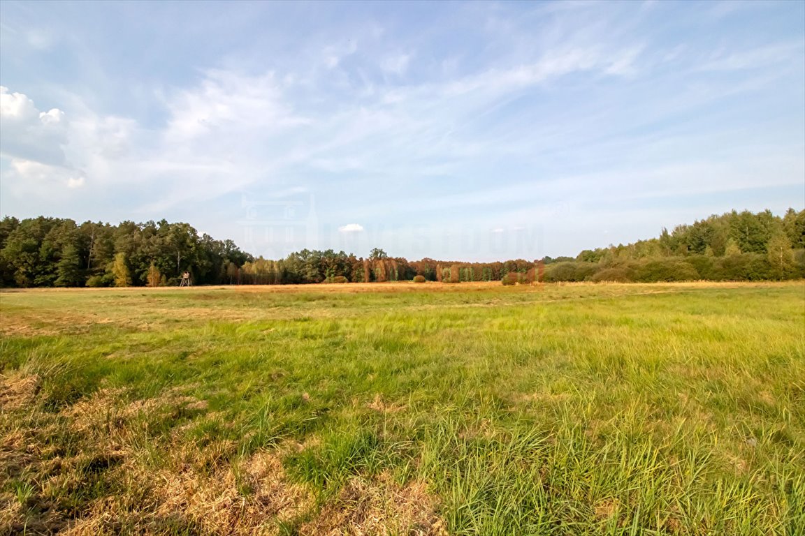 Działka inna na sprzedaż Brynica  4 000m2 Foto 3