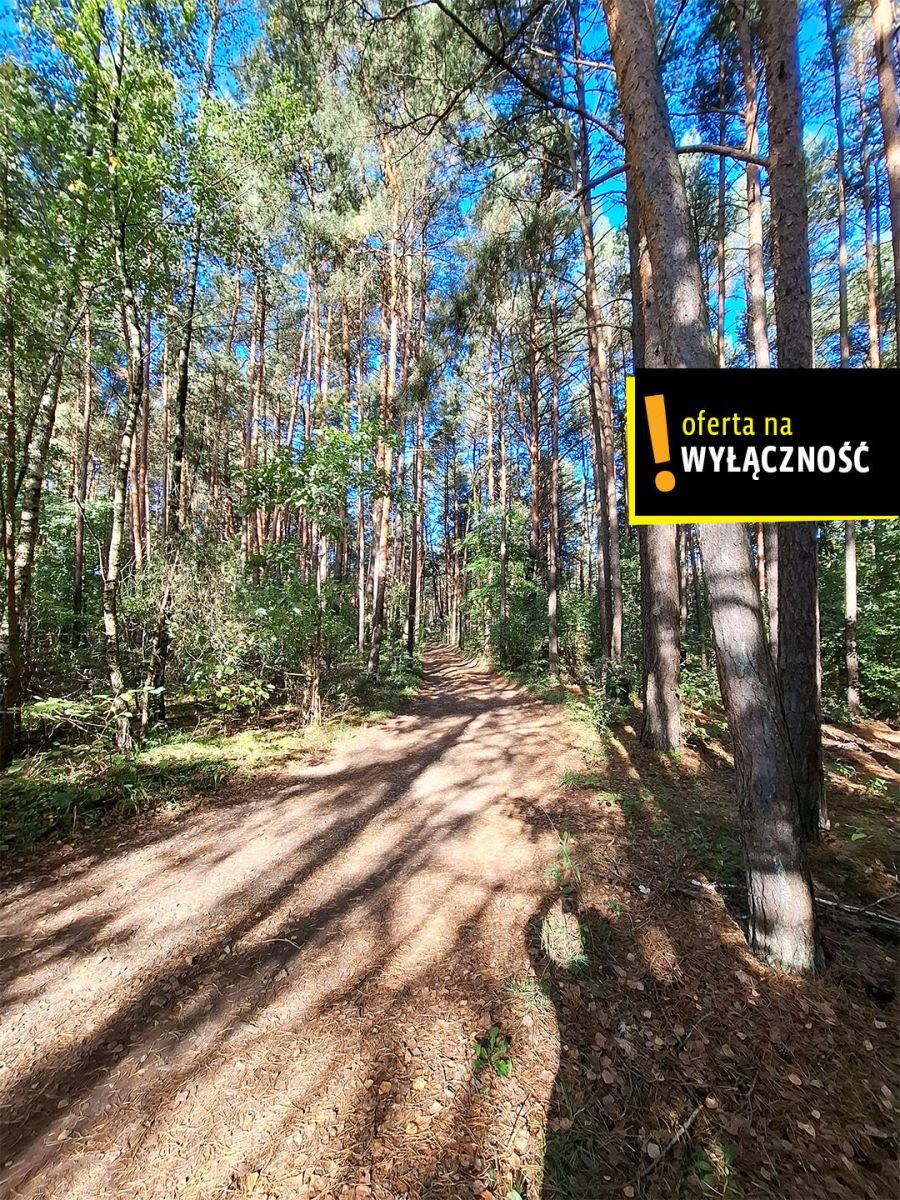 Działka 5600 m² w lesie z dostępem do rzeki i mediami Suków, Podmarzysz  5 600m2 Foto 1