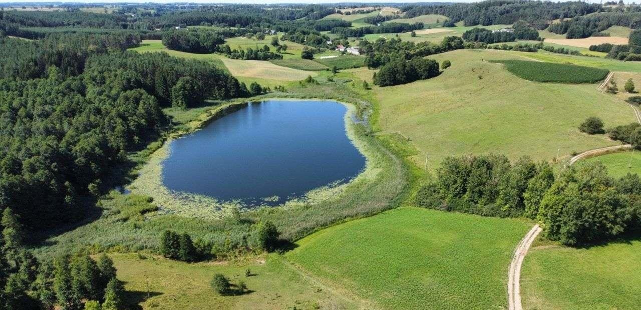 Działka rolna na sprzedaż Jeleniewo  2 800m2 Foto 9