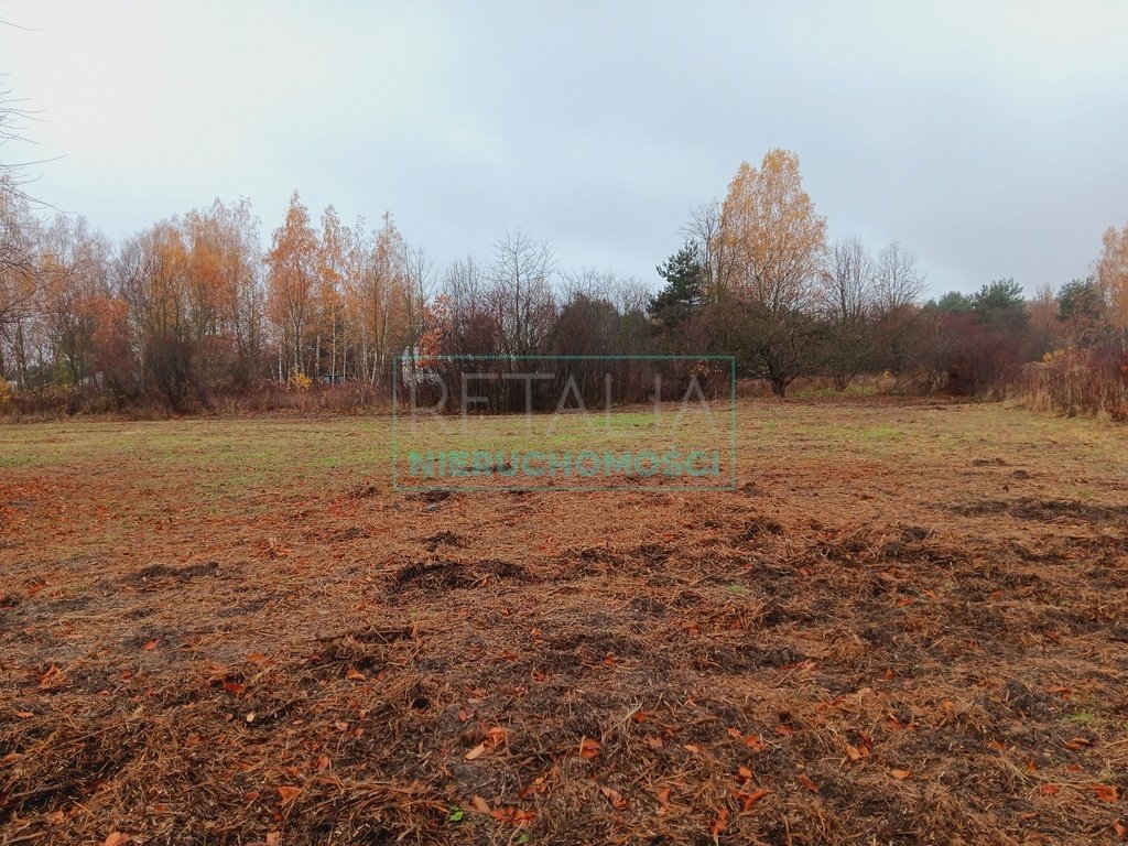 Działka budowlana na sprzedaż Rusiec  1 000m2 Foto 6