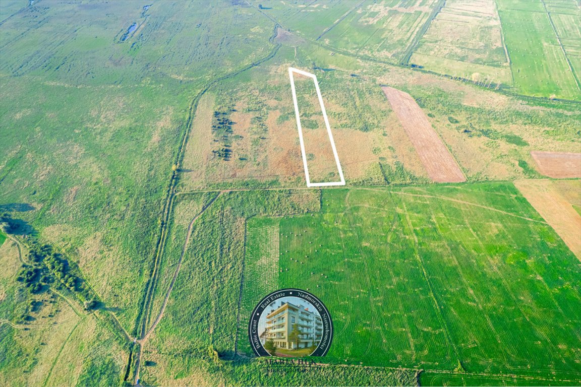 Działka gospodarstwo rolne na sprzedaż Ryszewo  13 500m2 Foto 9