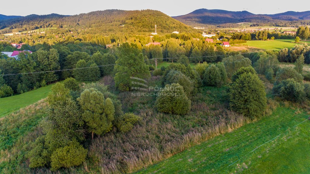 Działka budowlana na sprzedaż Strachocin  12 000m2 Foto 7