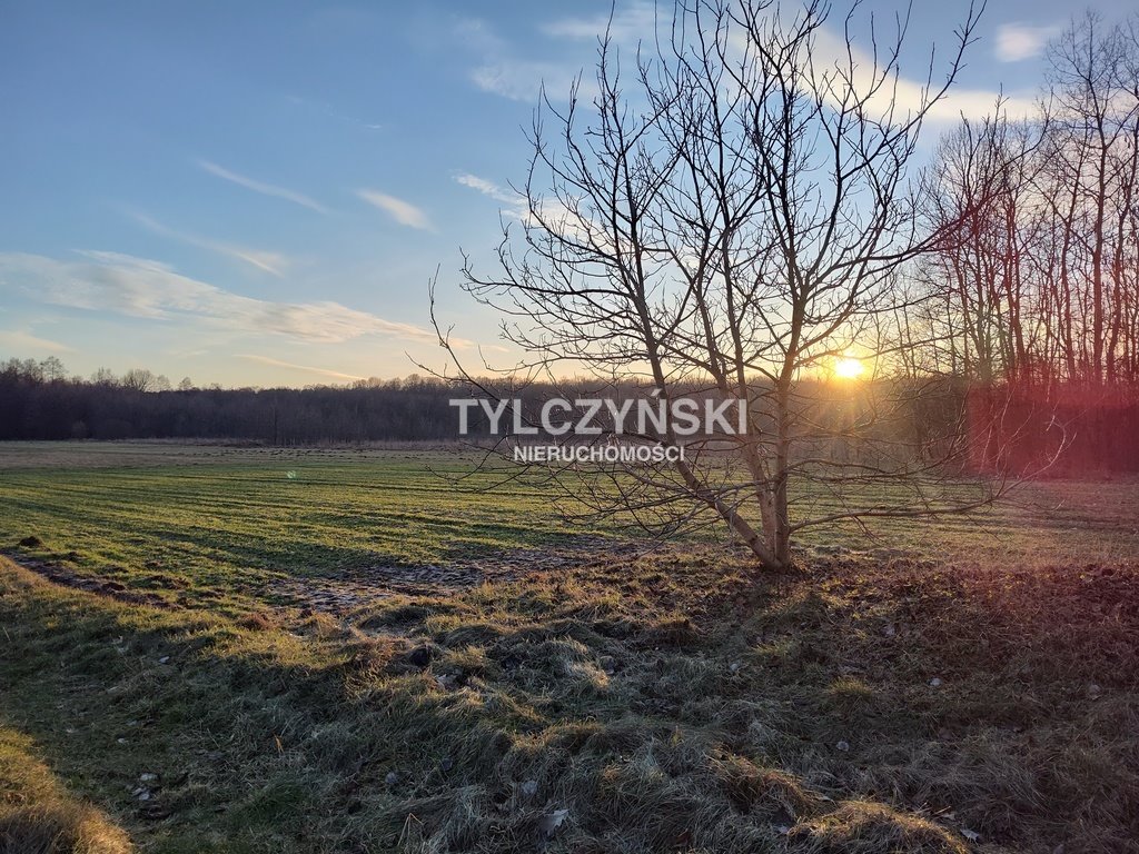 Działka rolna na sprzedaż Kaleń  40 000m2 Foto 1