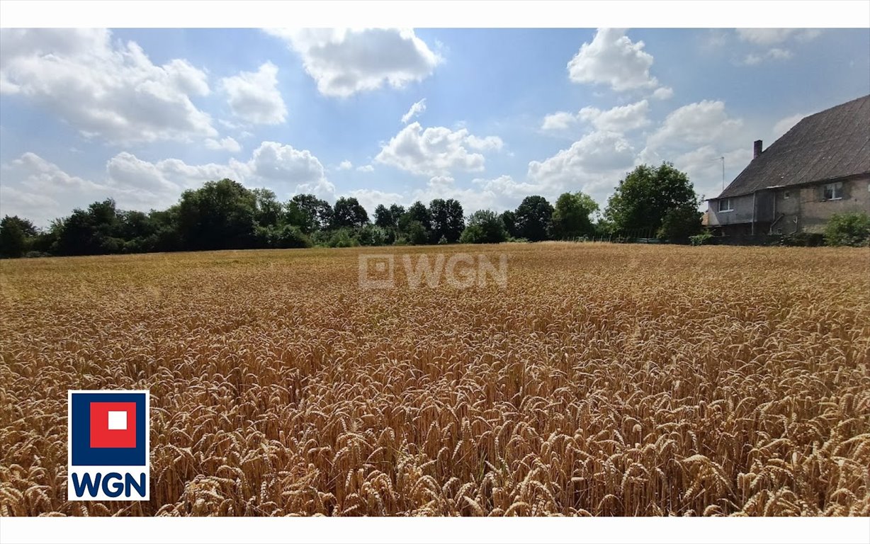 Dom na sprzedaż Nowa Wieś Legnicka, Nowa Wies Legnicka  220m2 Foto 14