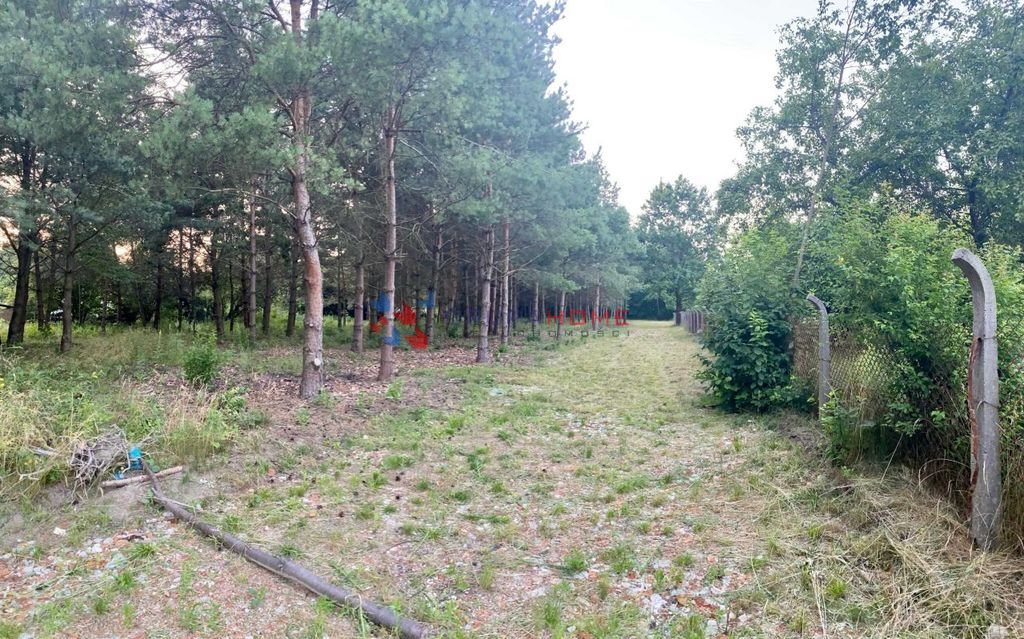 Działka budowlana na sprzedaż Mieszkowo  3 000m2 Foto 2