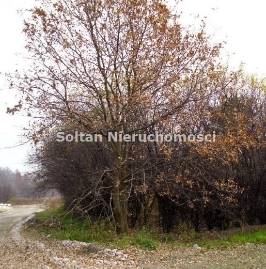 Duża działka 108 ha pod zabudowę i przemysł (blisko Tarczyna) Pawłowice  1 080 000m2 Foto 1