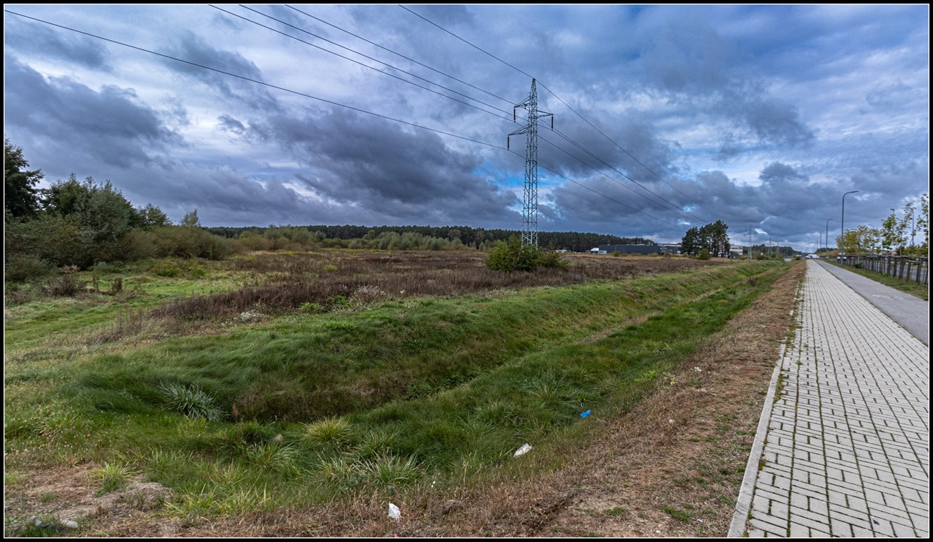 Działka przemysłowo-handlowa na sprzedaż Nowa Sól, Dolnośląska  20 079m2 Foto 14