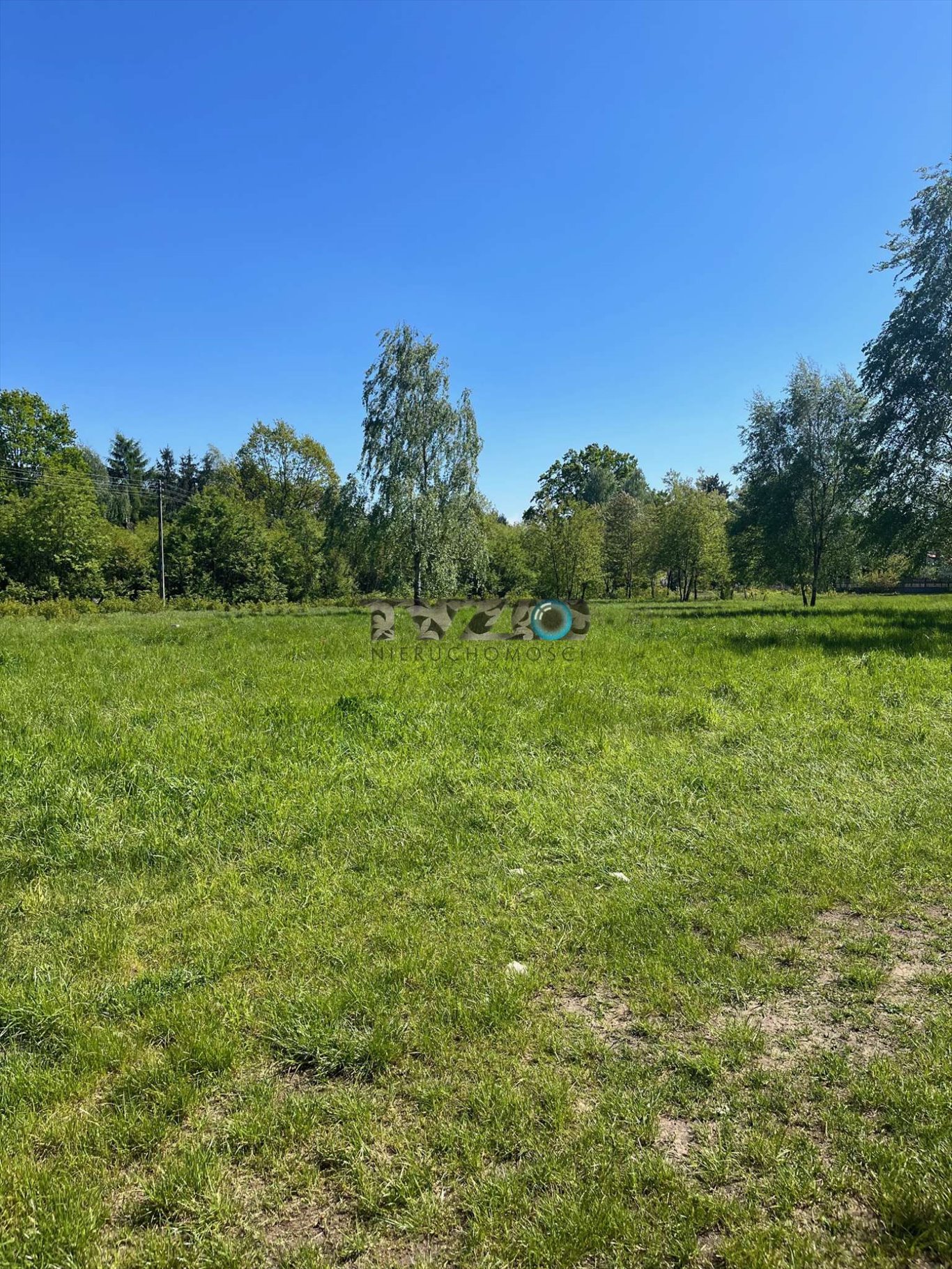 Działka budowlana na sprzedaż Józefów, Podchorążych  13 000m2 Foto 1