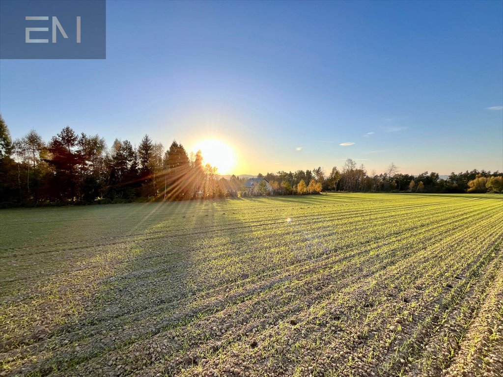 Działka budowlana na sprzedaż Gbiska  2 159m2 Foto 6