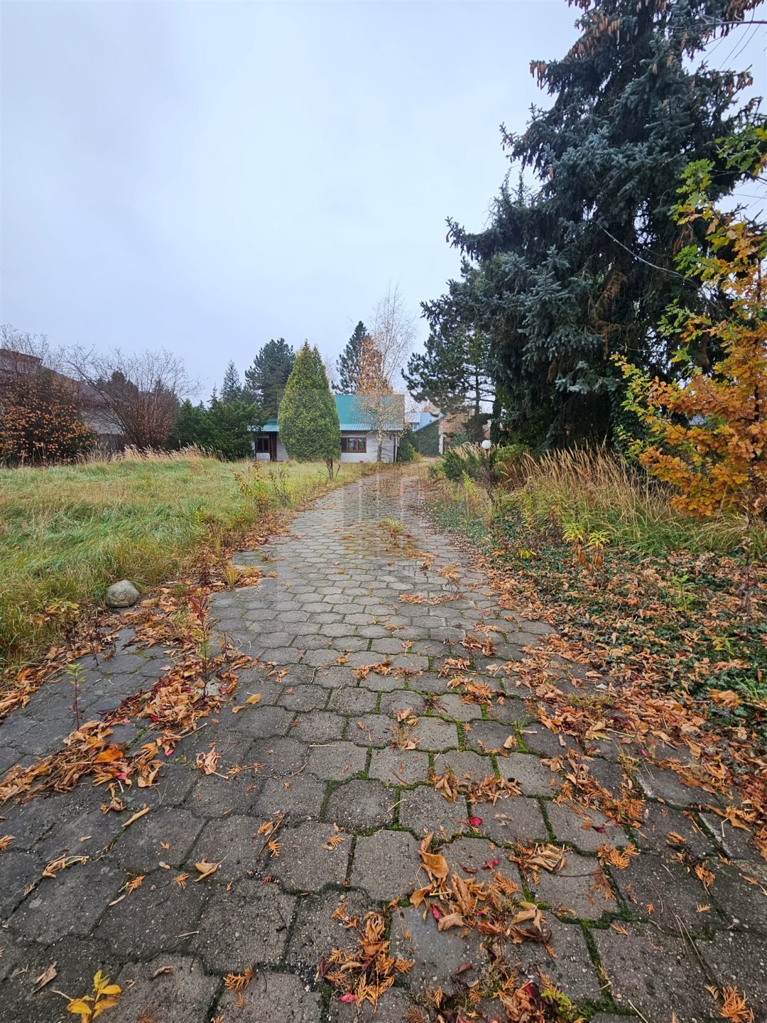 Działka budowlana na sprzedaż Wierzbin, Królowej Marysieńki  6 914m2 Foto 3