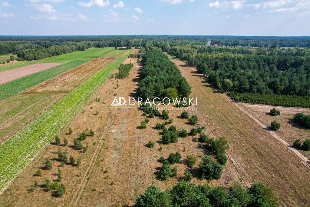 Działka budowlana na sprzedaż Białebłoto-Stara Wieś  48 700m2 Foto 2