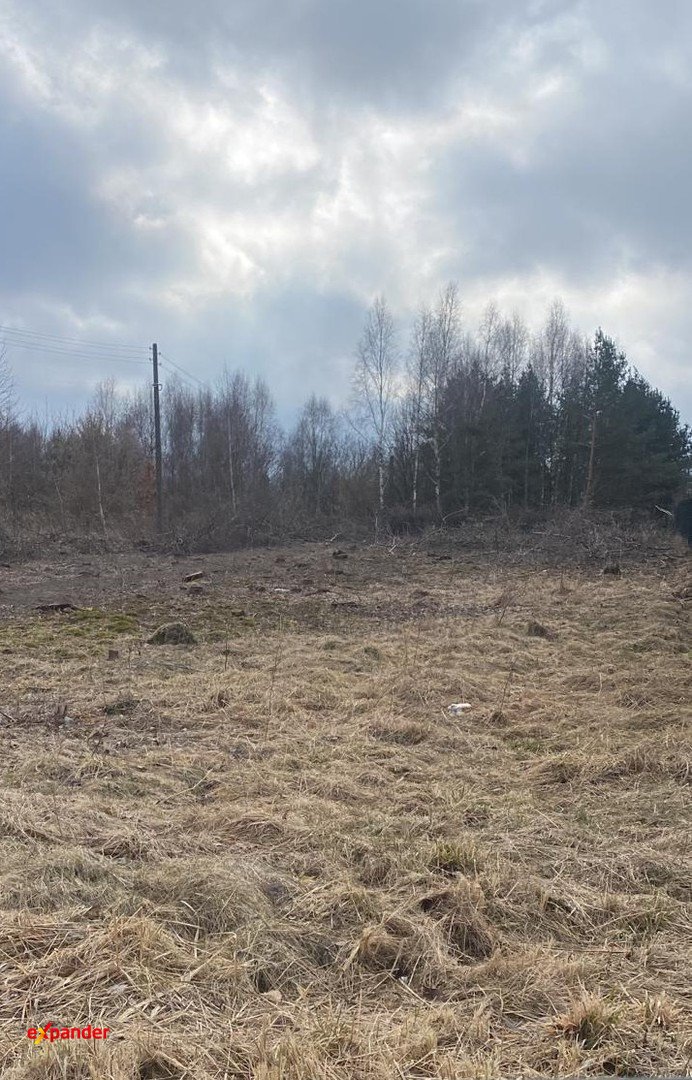 Działka 5970 m² z lasem i dobrym dojazdem - polecam! Jaskrów  5 970m2 Foto 1