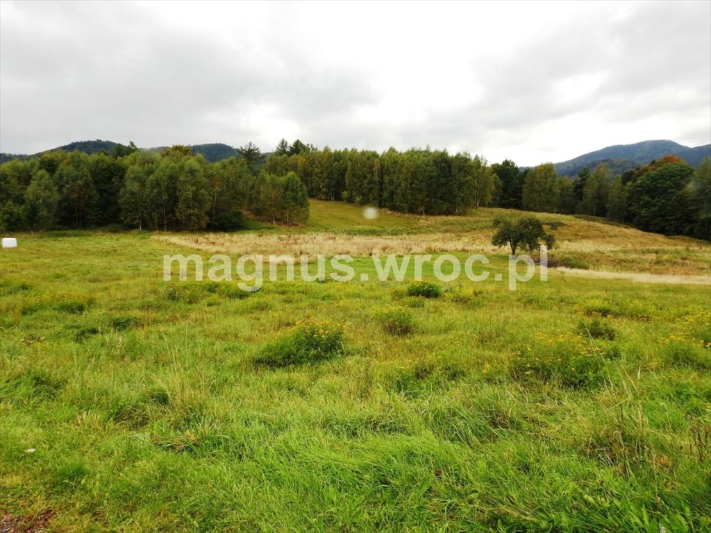 Działka budowlana na sprzedaż Jedlina-Zdrój, Kościelna  1 499m2 Foto 1