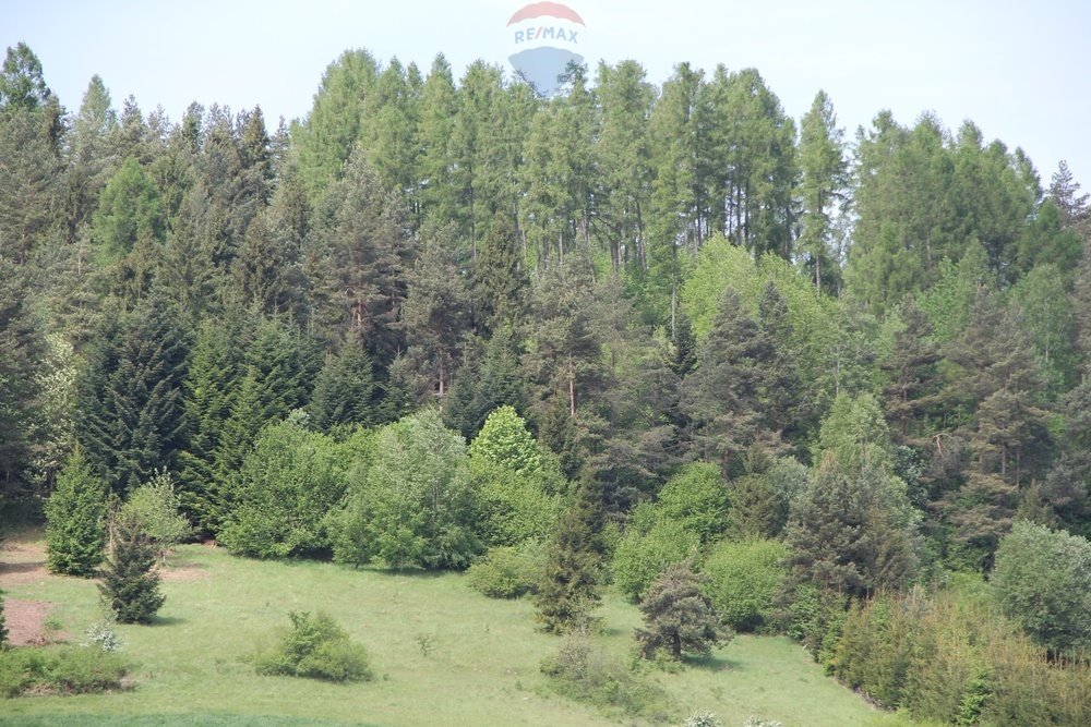 Działka leśna na sprzedaż Krośnica  8 049m2 Foto 3