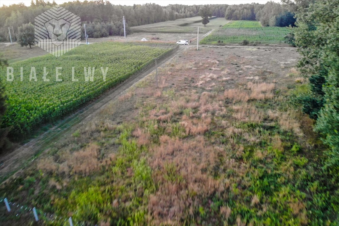 Działka rolna na sprzedaż Baraki  3 000m2 Foto 8