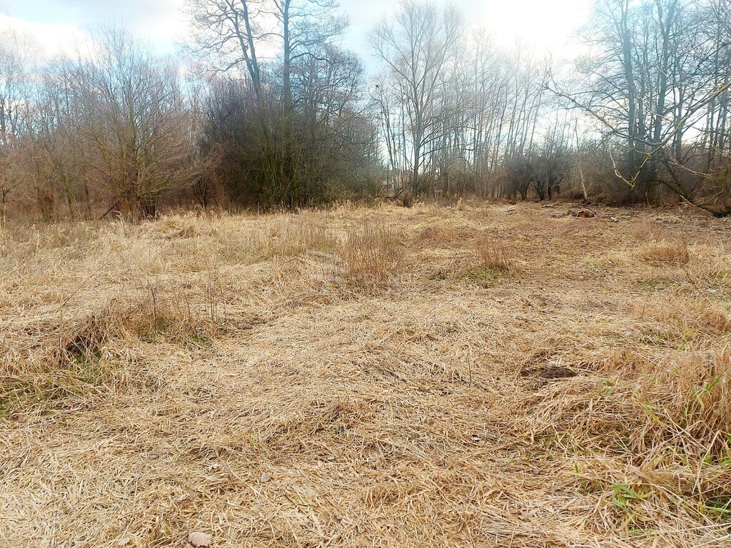 Działka budowlana na sprzedaż Milanówek  9 150m2 Foto 3