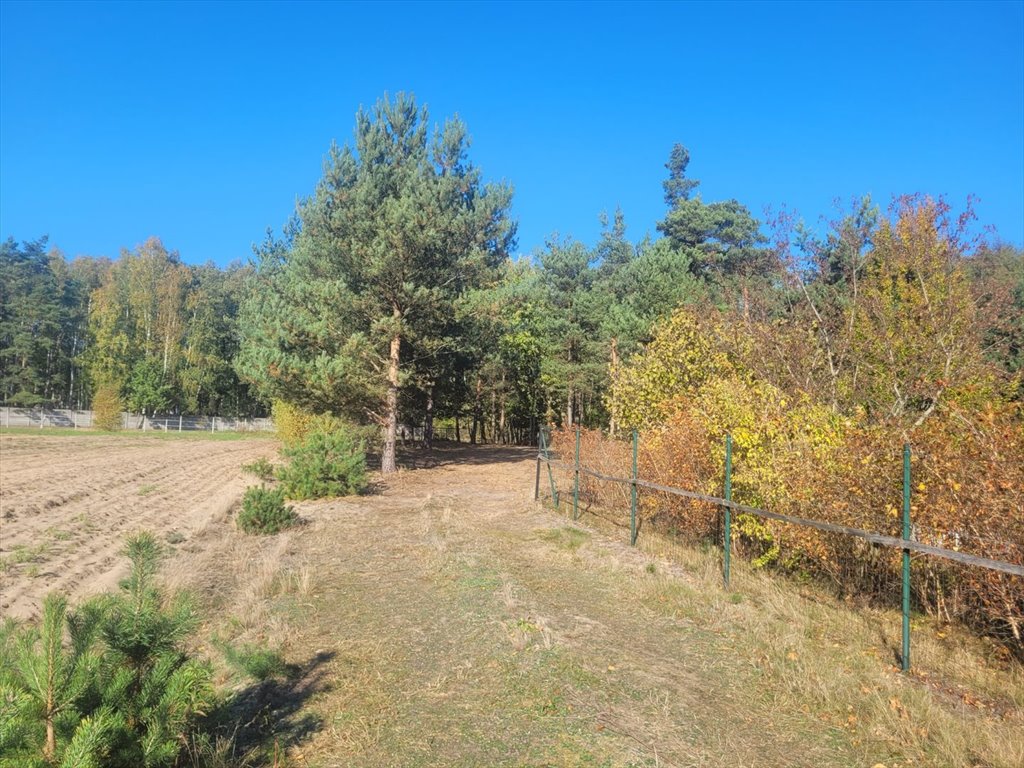 Działka budowlana na sprzedaż Nowe Grabie, Pod Klonami  2 800m2 Foto 9