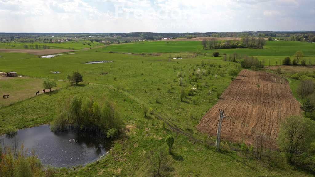 Działka rolna na sprzedaż Różnowo  16 800m2 Foto 8