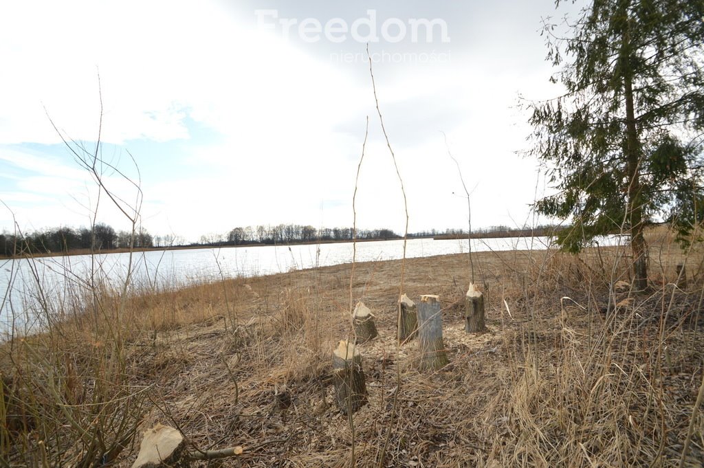 Działka inwestycyjna na sprzedaż Brzeziny  520 000m2 Foto 6