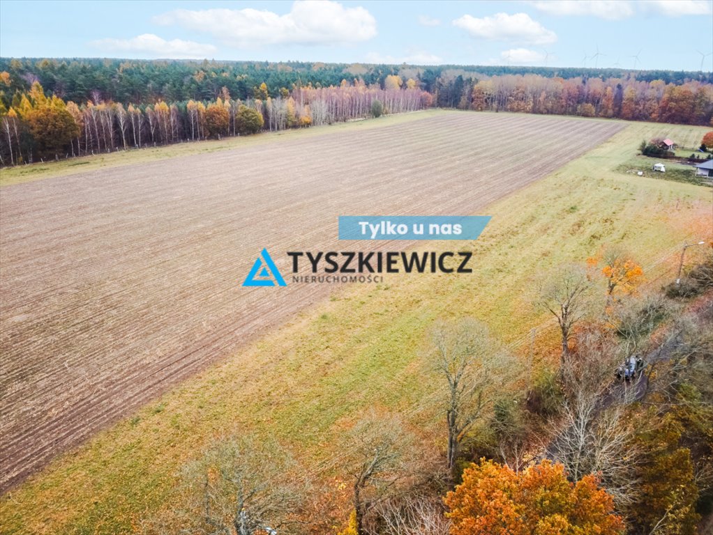 Działka 3428 m² w Szczenurze – las, łąki, blisko plaży Szczenurze  3 428m2 Foto 1