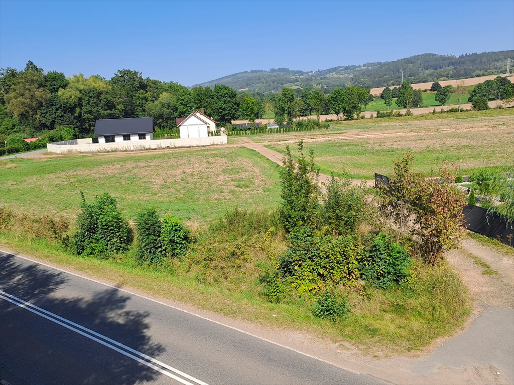 Działka budowlana na sprzedaż Ścinawka Górna, Ścinawka Górna  1 000m2 Foto 1