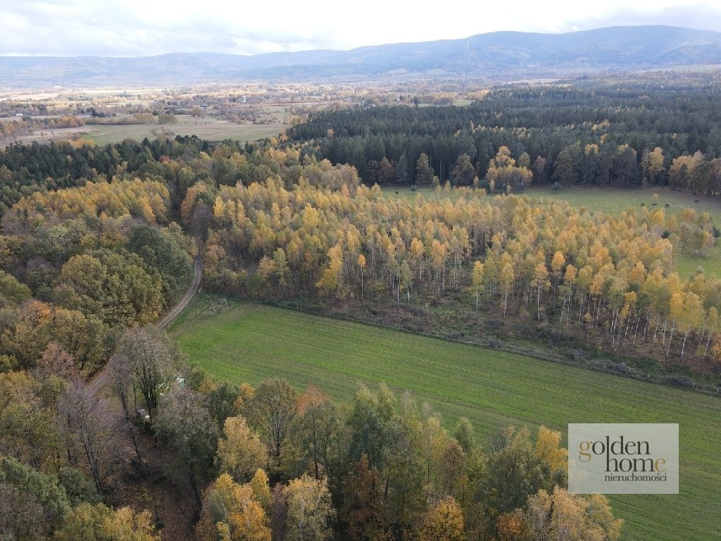 Działka budowlana na sprzedaż Leśna, Świecie  950m2 Foto 9