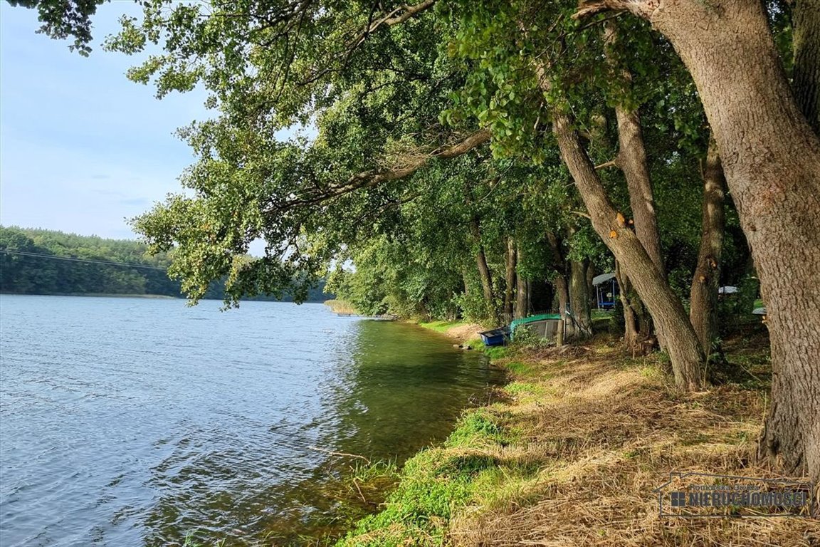 Działka budowlana na sprzedaż Dołgie  6 817m2 Foto 12