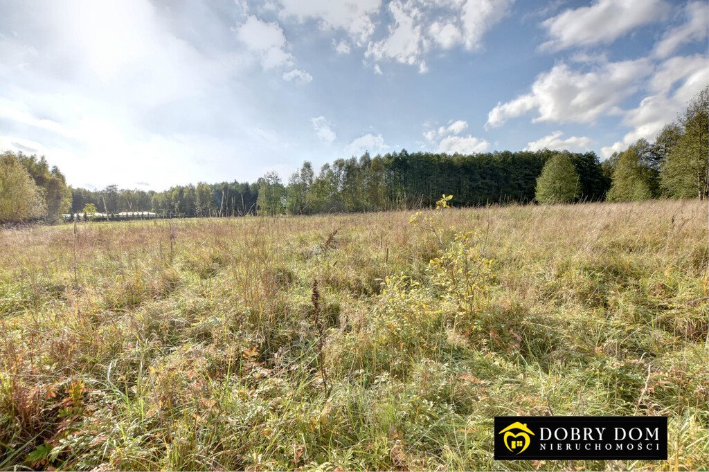 Działka budowlana na sprzedaż Hryniewicze  1 000m2 Foto 7