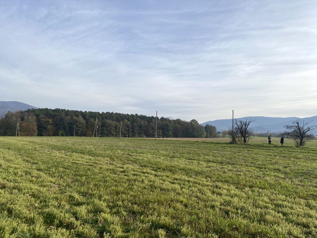 Działka rolna na sprzedaż Kozakowice Dolne, Kozakowice Dolne, Biała  6 400m2 Foto 15