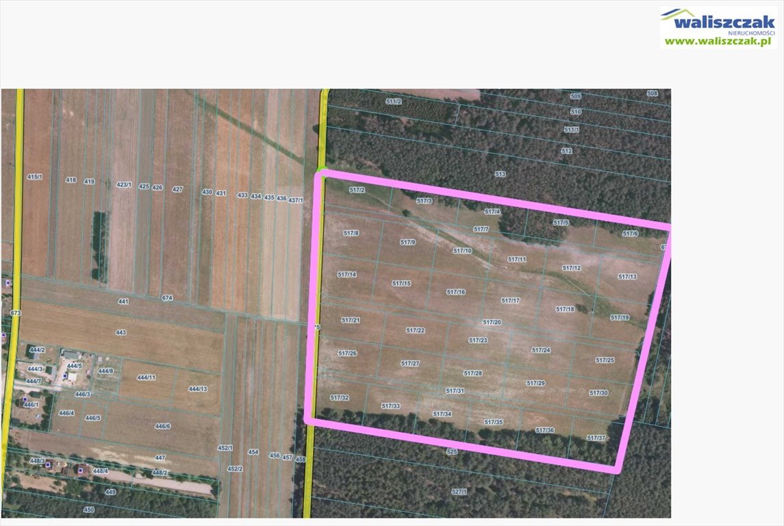 Teren inwestycyjny 11,56 ha w otulinie lasu, blisko S8 Polichno  115 601m2 Foto 1