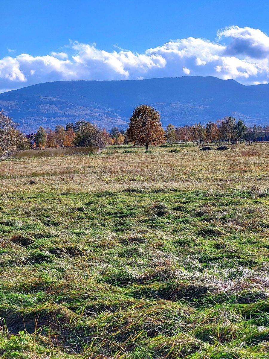 Działka budowlana na sprzedaż Mysłakowice  1 270m2 Foto 1