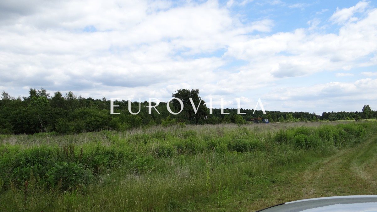 Działka budowlana na sprzedaż Kierszek, Kierszek pod Lasem, Działkowa  11 713m2 Foto 5