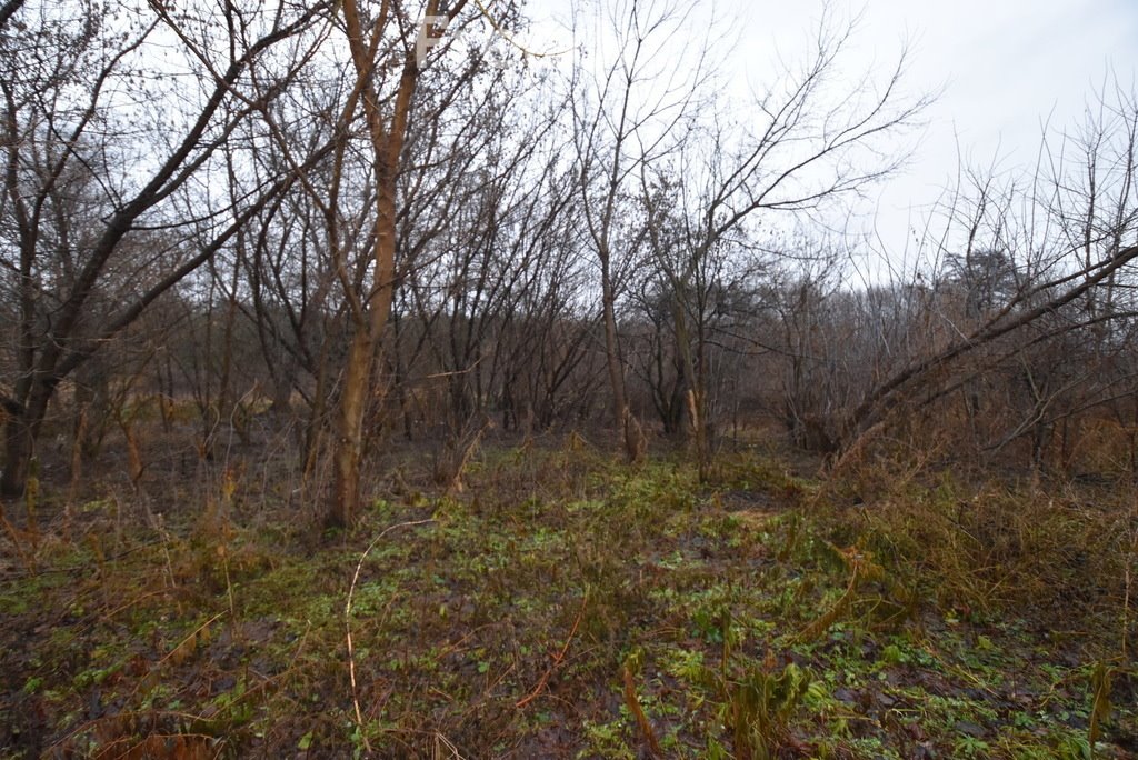 Dom na sprzedaż Ostrowiec Świętokrzyski  80m2 Foto 3